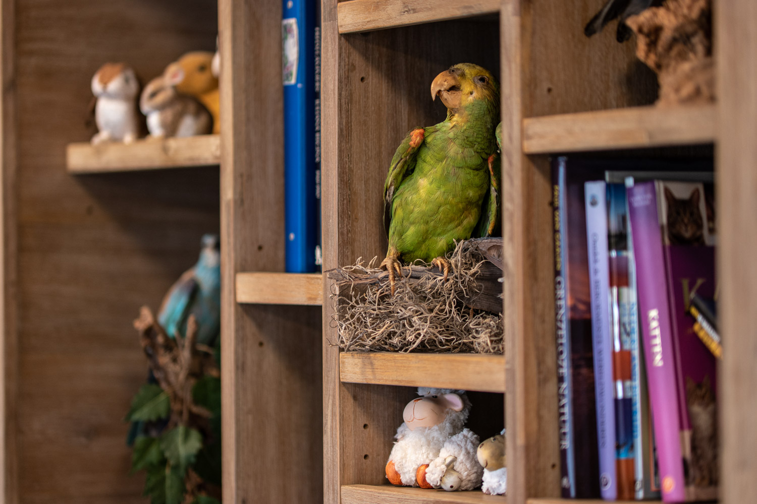 Hart Van Rozenburg Rozenburg10