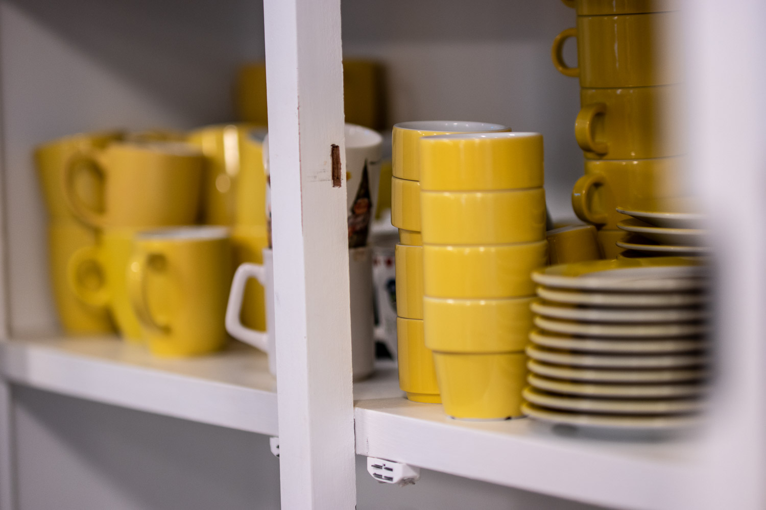 Hart Van Rozenburg Rozenburg9