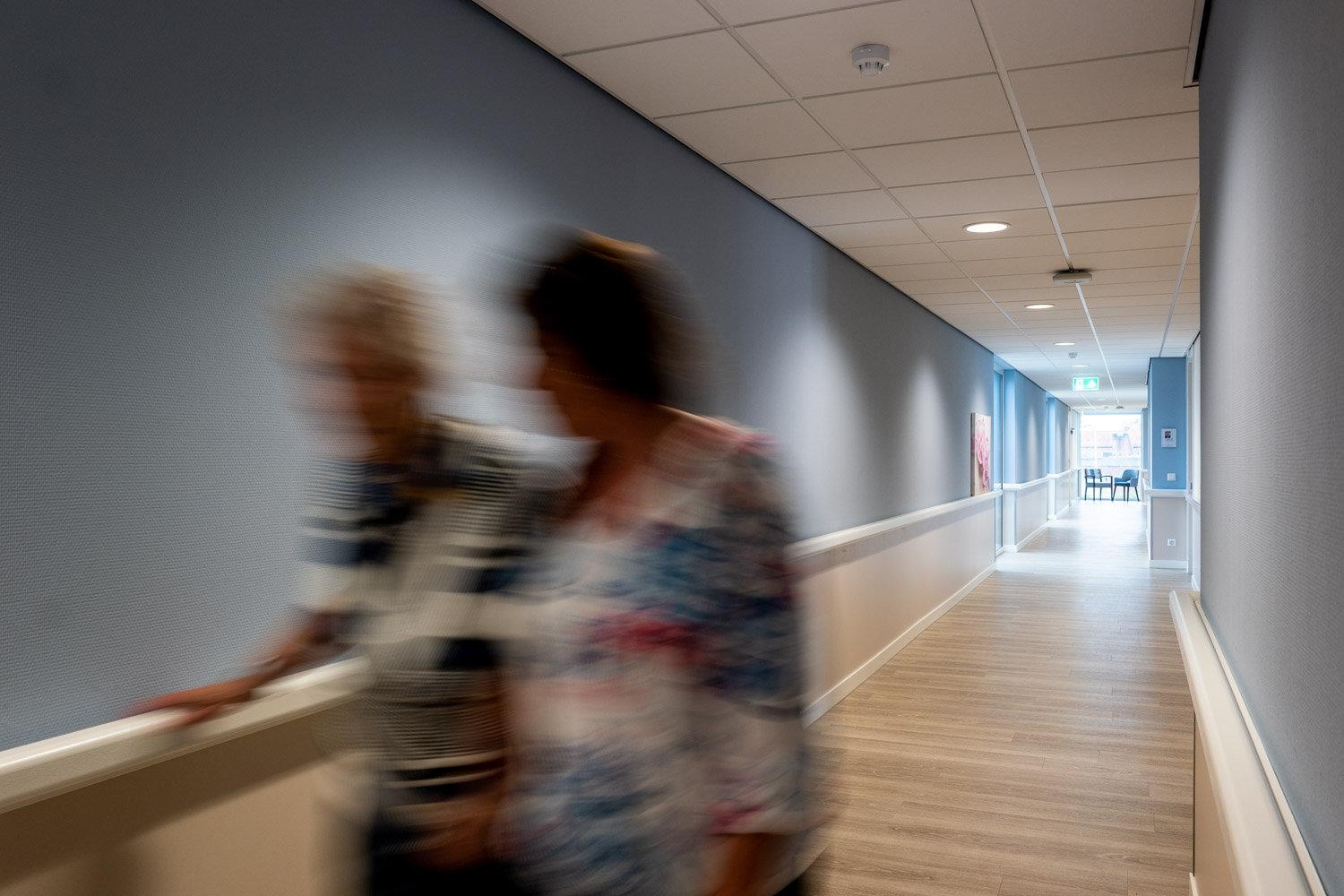 Hart Van Zuidland Zuidland6