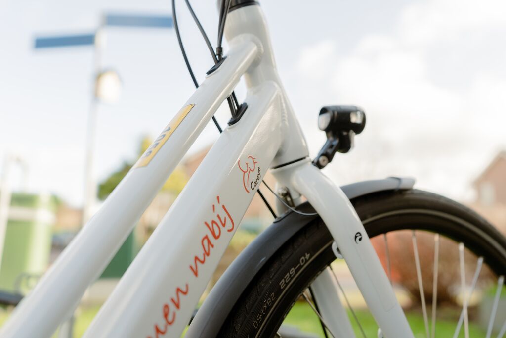 Medium Wijkverpleging (31)