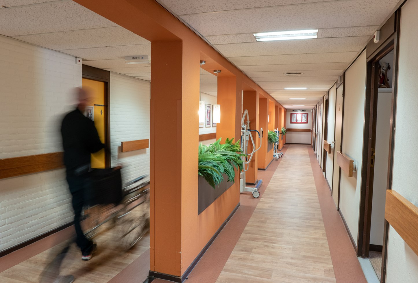 Rozenhof Naaldwijk2